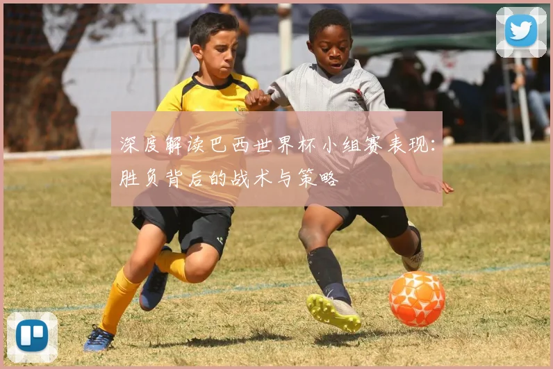 深度解读巴西世界杯小组赛表现：胜负背后的战术与策略