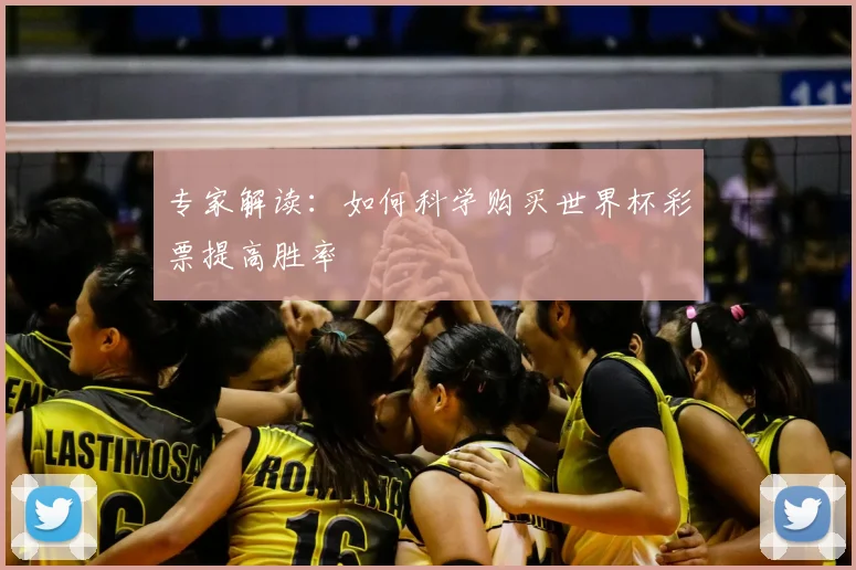 专家解读:如何科学购买世界杯彩票提高胜率