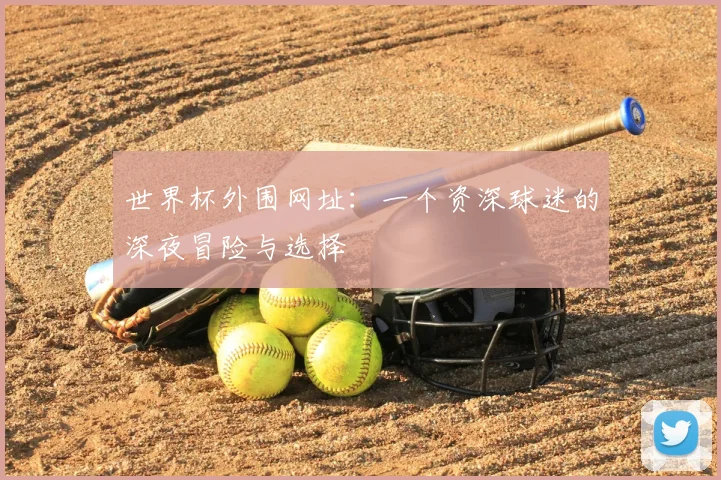 世界杯外围网址：一个资深球迷的深夜冒险与选择