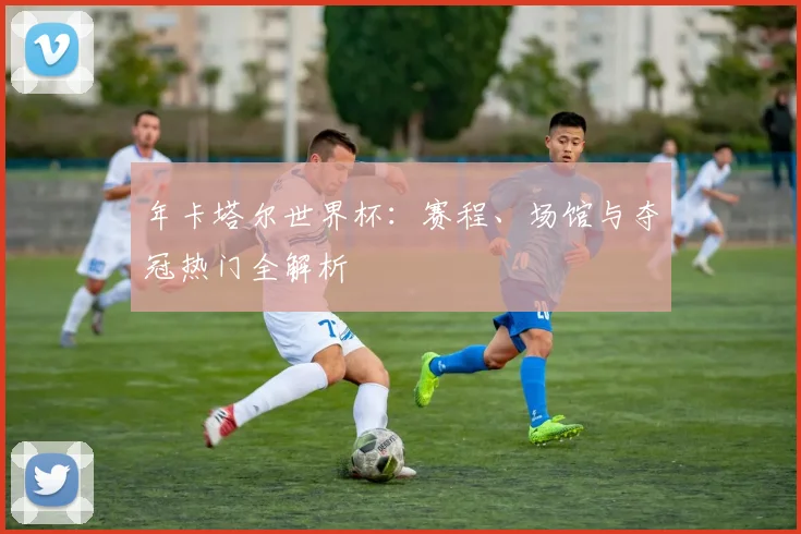 年卡塔尔世界杯:赛程、场馆与夺冠热门全解析