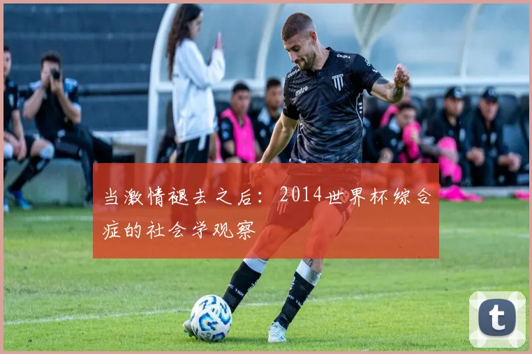当激情褪去之后：2014世界杯综合症的社会学观察