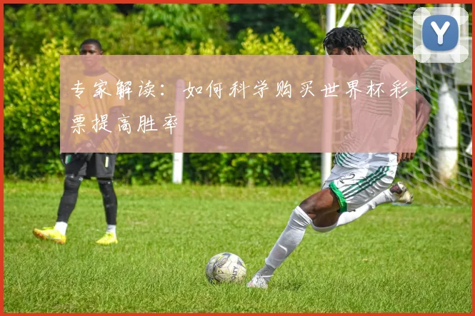 专家解读:如何科学购买世界杯彩票提高胜率