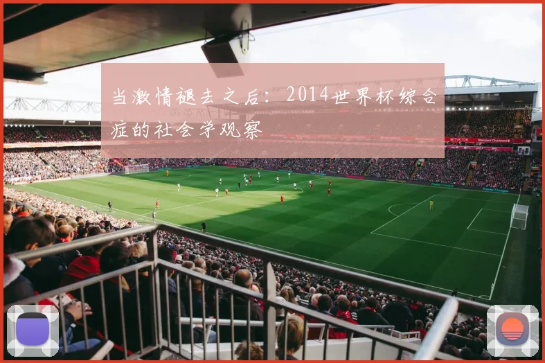 当激情褪去之后：2014世界杯综合症的社会学观察