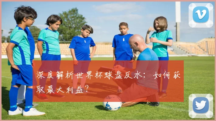 深度解析世界杯球盘反水：如何获取最大利益？